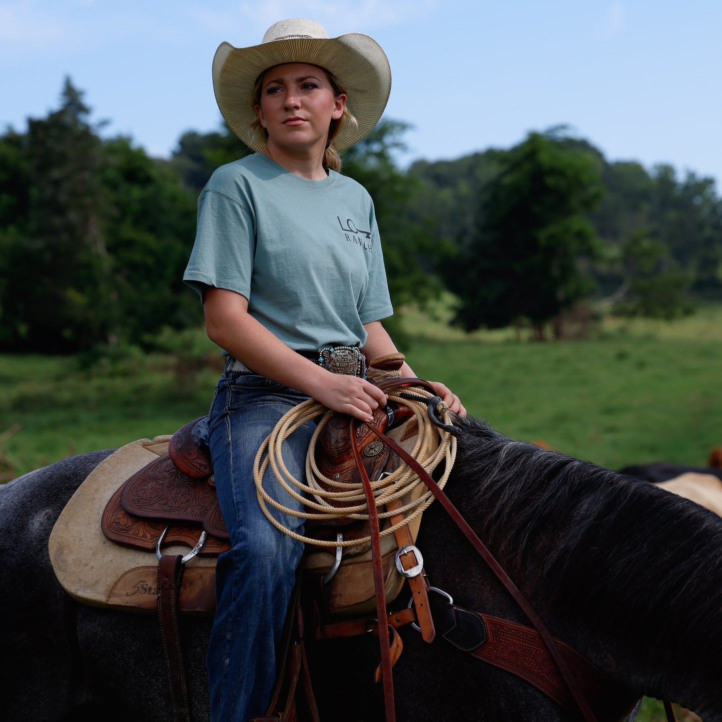 Eat More Beef T Shirt