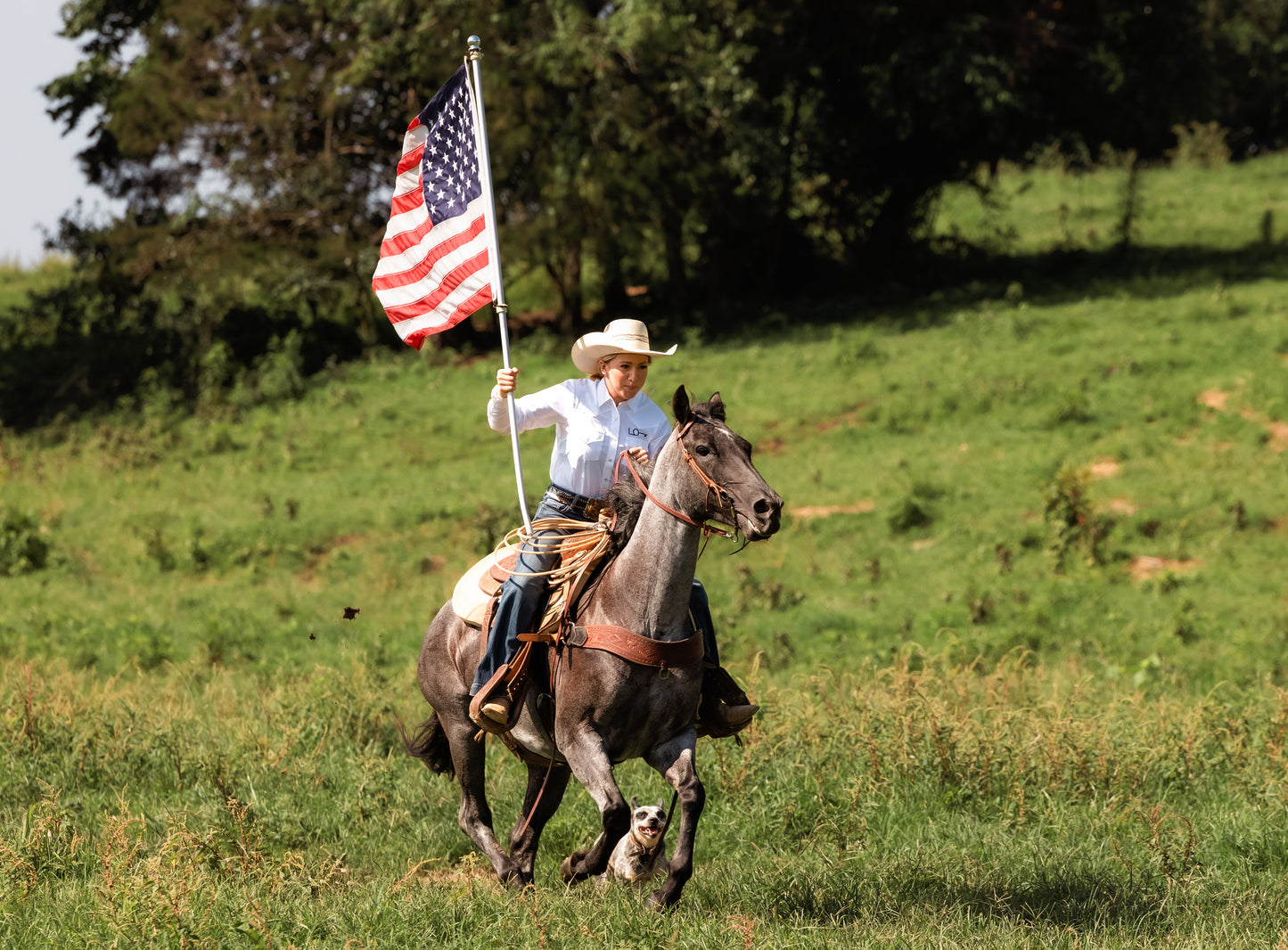 Women's Ely Cattlemen Pearl Snap Shirt